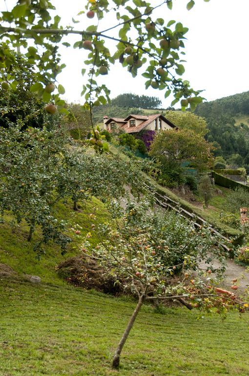 Trisqueles Y Buganvillas Villaviciosa  Eksteriør billede