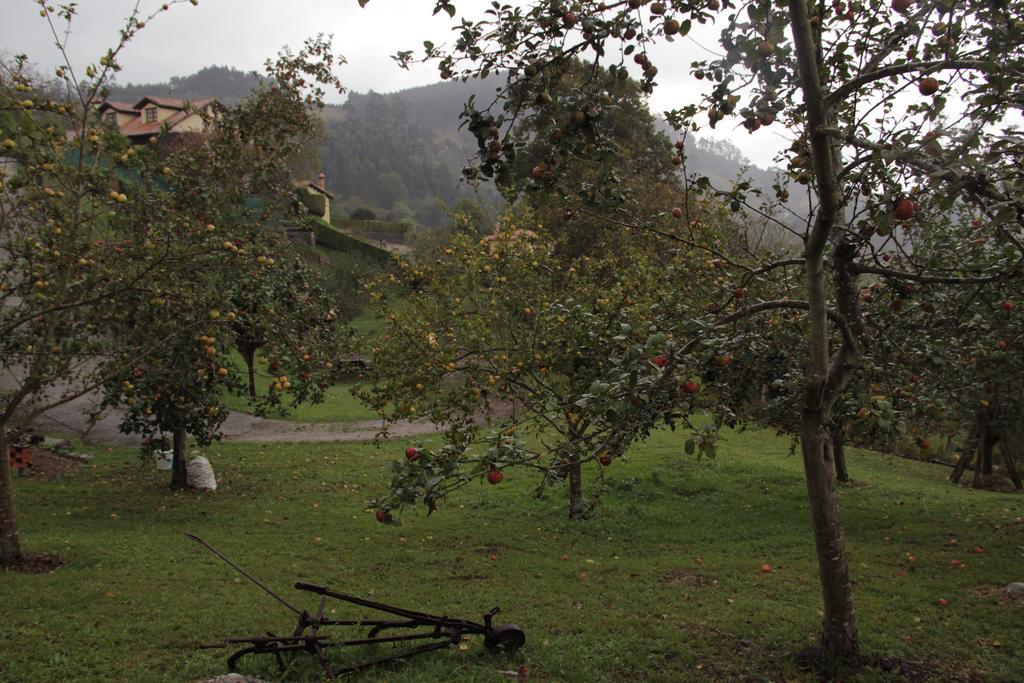 Trisqueles Y Buganvillas Villaviciosa  Eksteriør billede