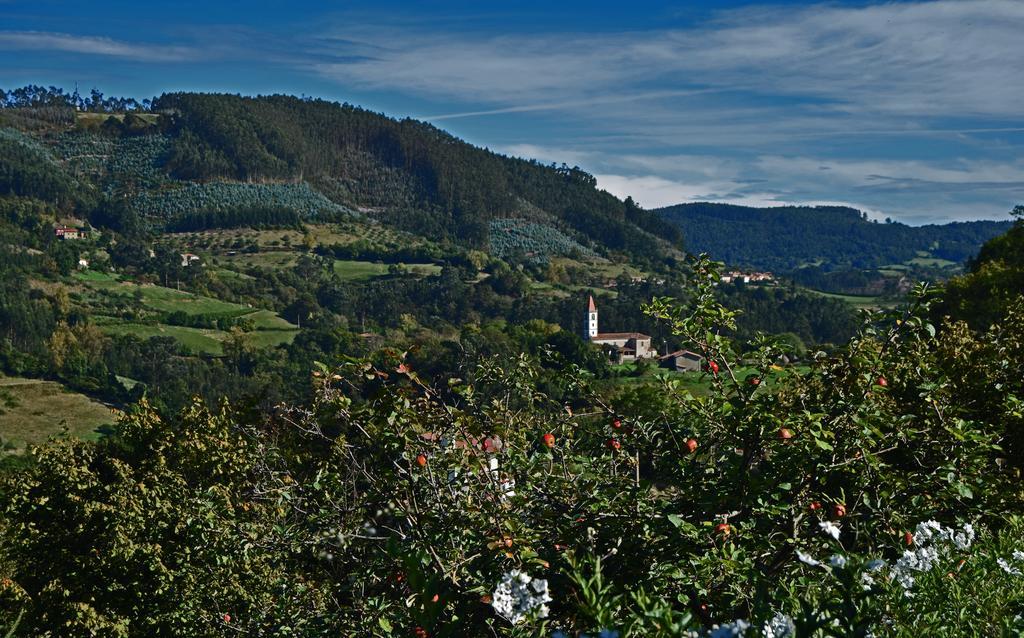 Trisqueles Y Buganvillas Villaviciosa  Eksteriør billede
